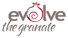Evolve the Granate - Specialised bookkeeping firm servicing Consulting Engineers and Professional Consultants throughout South Africa.